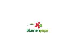 Blumen Papa