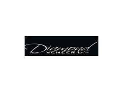 diamond-veneer-travel-jewelry